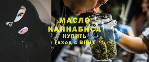 гидра Арсеньев
