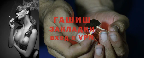 гидра Арсеньев