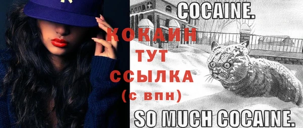 гидра Арсеньев